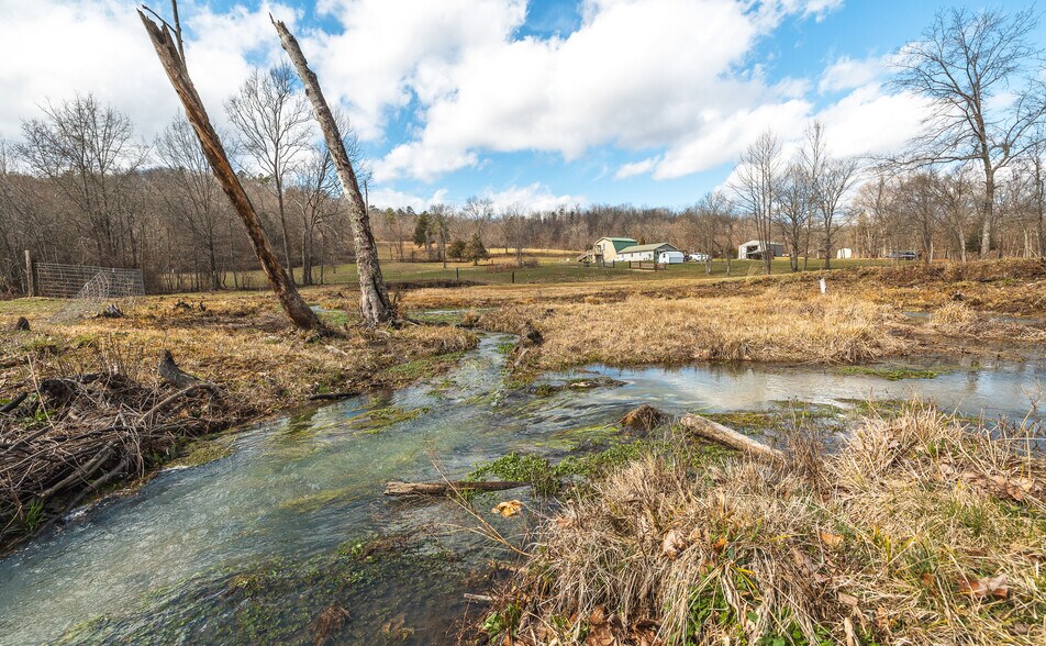 More Photos Of 3385 County Road 5615, Bunker Land For Sale