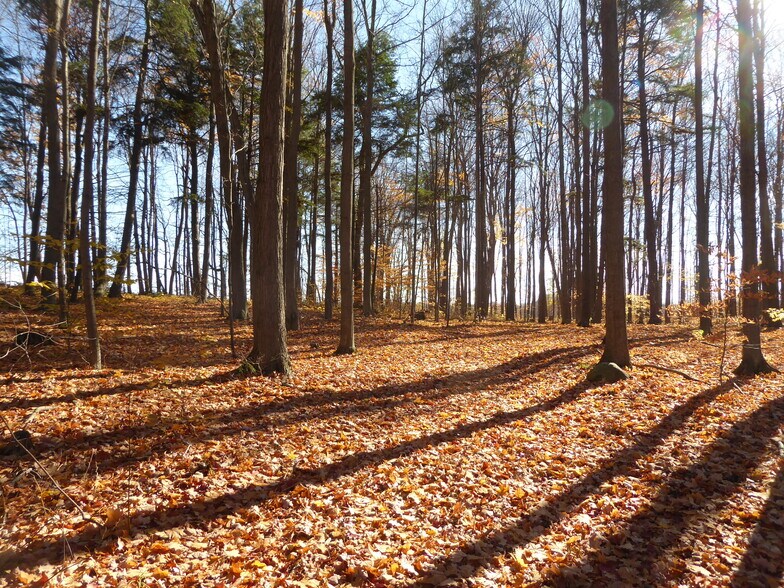 More Photos Of 8949 Wellington 22, Erin Land For Sale