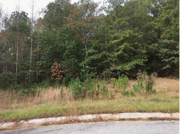 More Photos Of Mill Run @ Mill Pond Way, Bremen Land For Sale