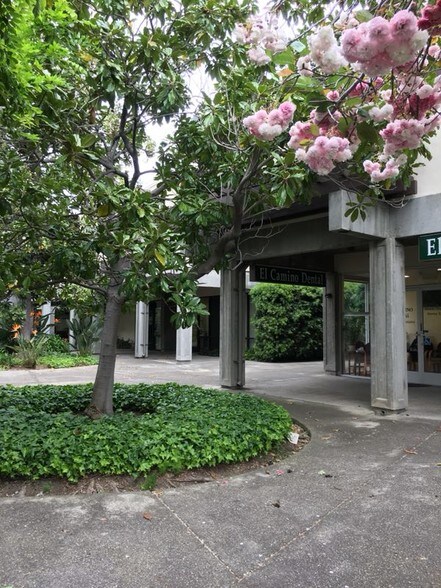 More Photos Of 100 W El Camino Real, Mountain View Office For Lease