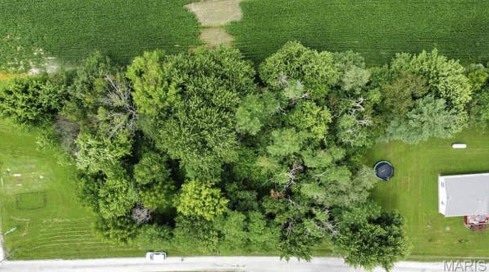 Primary Photo Of 000 Fellin Drive, Mount Olive Land For Sale