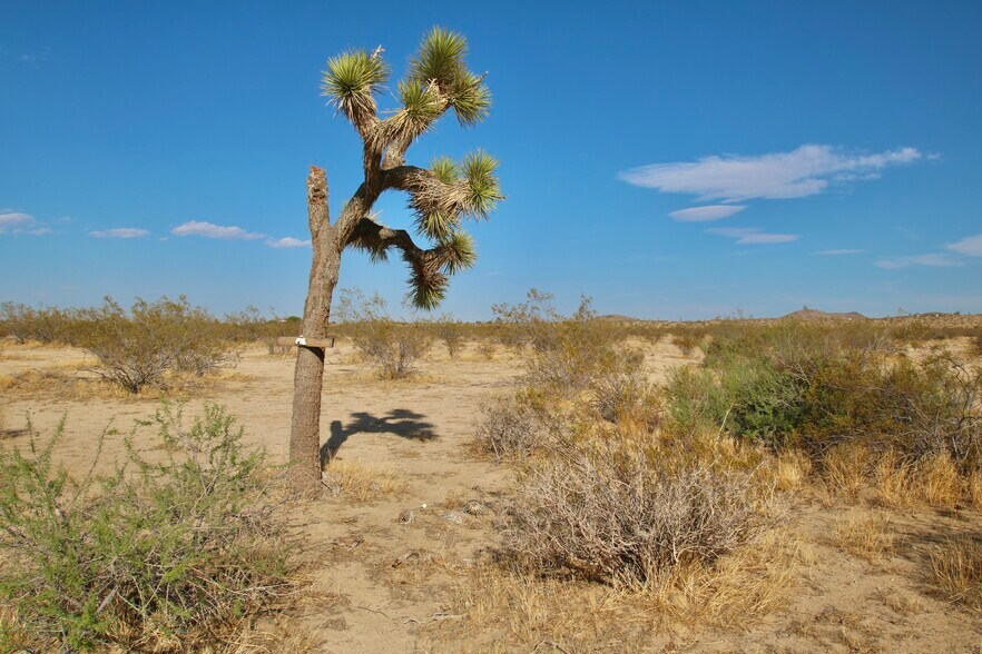 More Photos Of 1153 Belfield Blvd, Landers Land For Sale