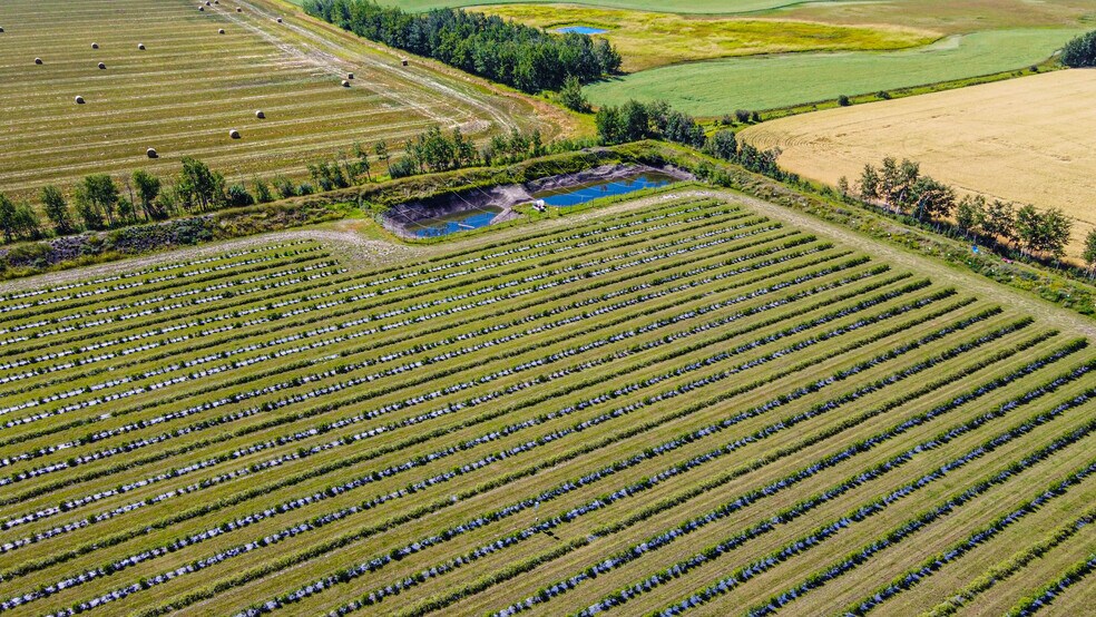 More Photos Of 705068 82 -1, Wembley General Retail For Sale