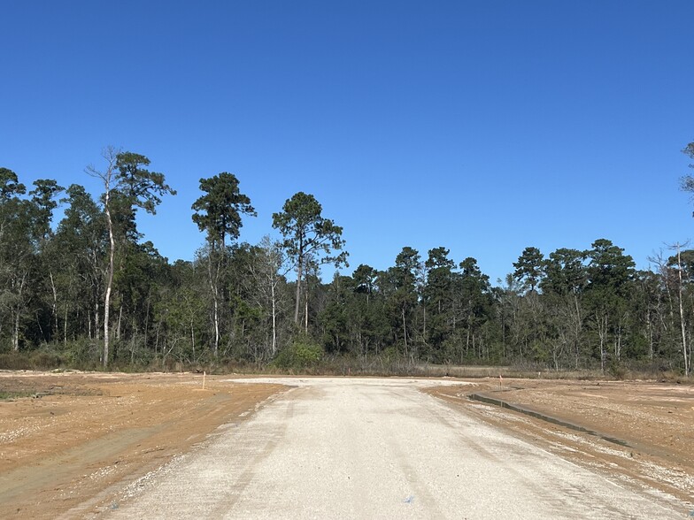 Primary Photo Of 12895 Coon Massey Rd, Conroe Land For Sale