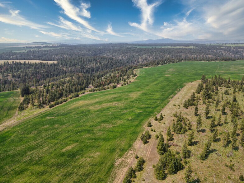 More Photos Of 45XXX Devore Rd, Davenport Land For Sale