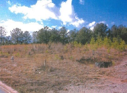 More Photos Of Village Business Pky, Stockbridge Land For Lease