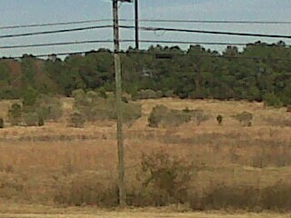 More Photos Of HIGHWAY 231 S, Troy Land For Sale