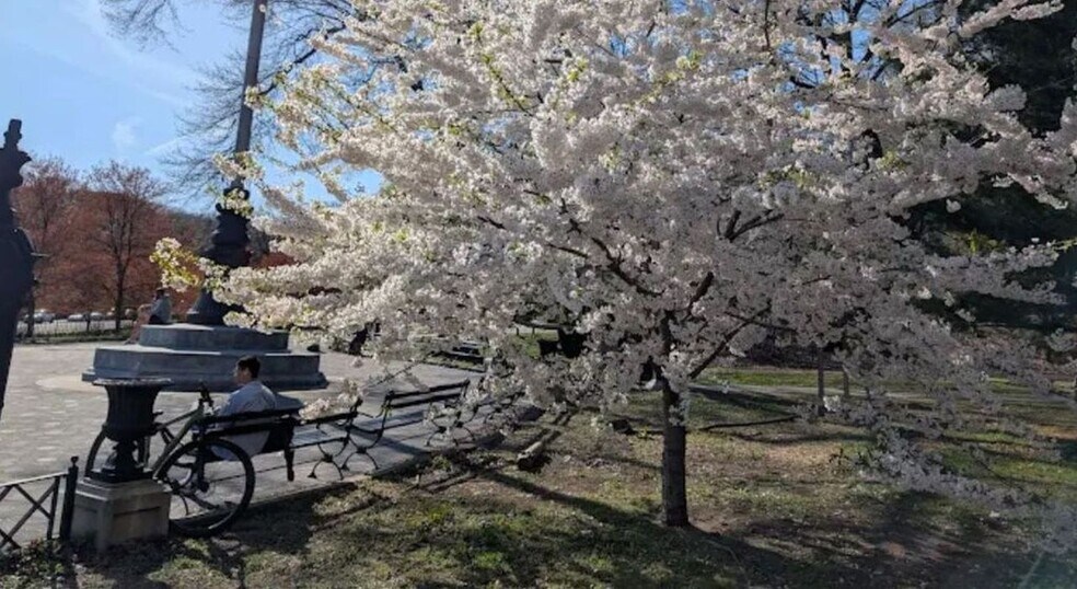 More Photos Of 11882 Metropolitan Ave, Kew Gardens Healthcare For Lease