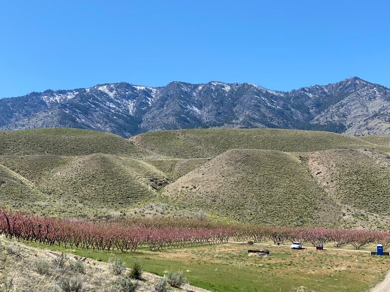 More Photos Of 53 WA-153, Pateros Land For Sale