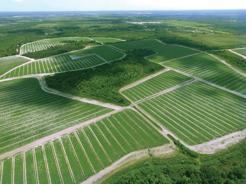 Primary Photo Of 40105 Ballard Rd, Myakka City Land For Lease