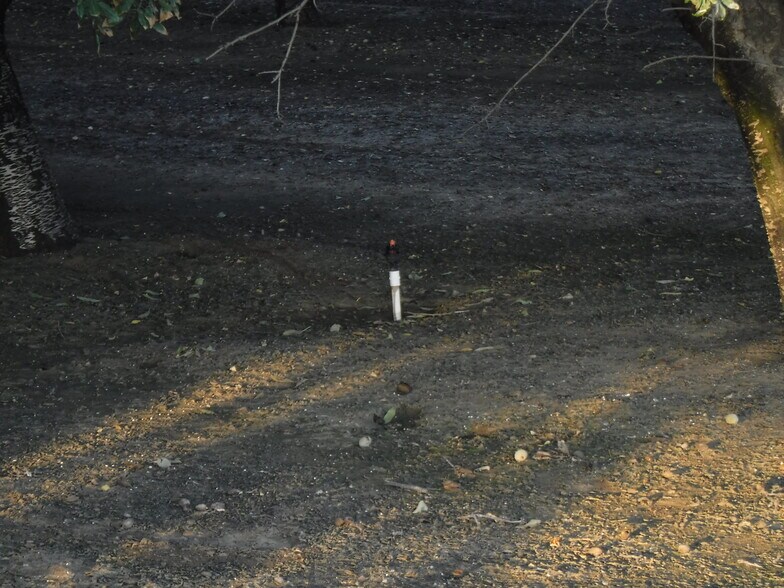 More Photos Of 1250 W. Marshall Rd, Patterson Land For Sale