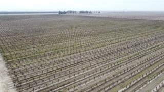 More Photos Of 1 S Plumas Ave, Kerman Land For Sale