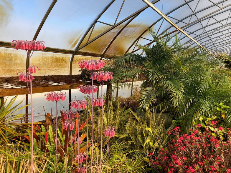 More Photos Of 5996 Augustine Herman Hwy, Cecilton Land For Lease