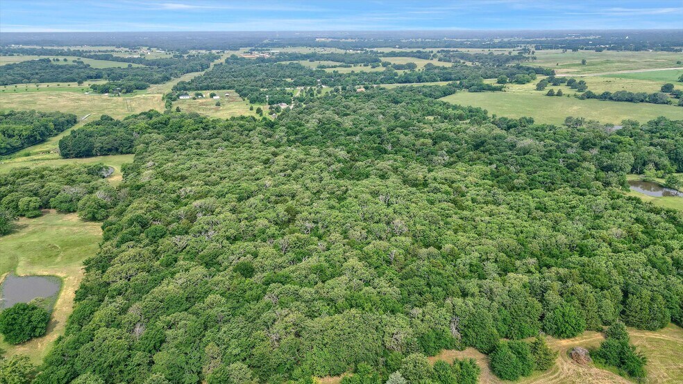 More Photos Of TBD W Line Road, Whitesboro Land For Sale