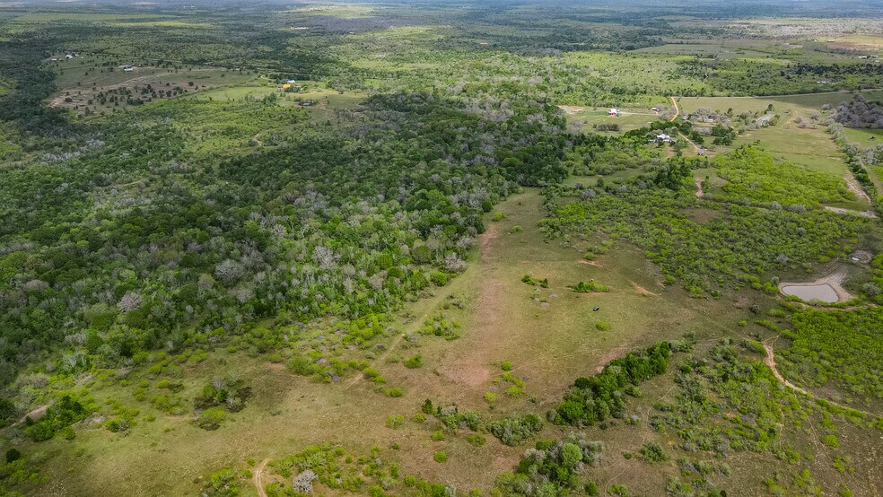 More Photos Of TBD Sparta Field Road, Waelder Land For Sale