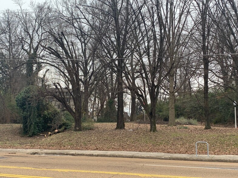 More Photos Of 1403 Lamar, Memphis Land For Sale
