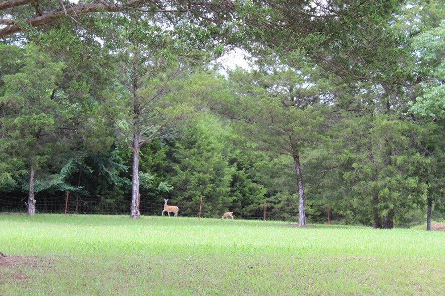 More Photos Of 29668 Farm Road 1268, Golden Land For Sale