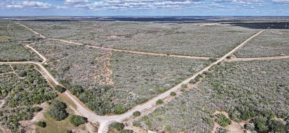 Primary Photo Of 2700 CR 120, Beeville Land For Sale