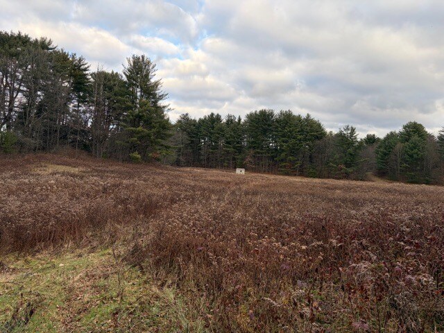More Photos Of 1045 Covered Bridge Rd, Unadilla Land For Sale
