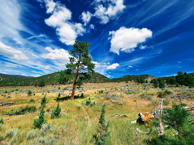More Photos Of 32611 Tackman Rd, Prineville Land For Sale