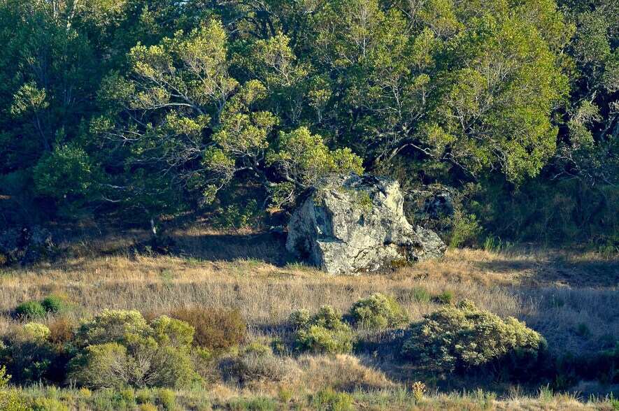 More Photos Of 128 Ridgecrest Road, Kentfield Land For Sale