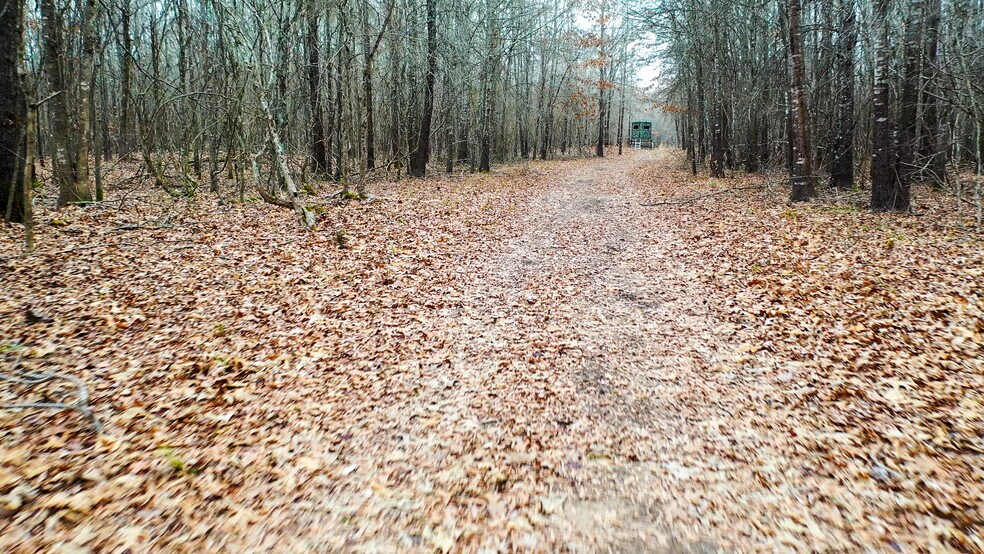 More Photos Of 1200 County 1255 rd, Detroit Land For Sale