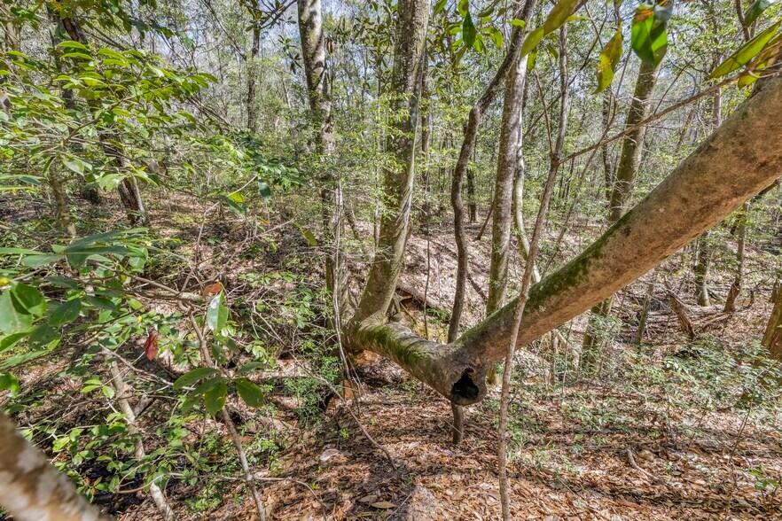 More Photos Of 7700 Iron Rush Rd, Wilmer Land For Sale