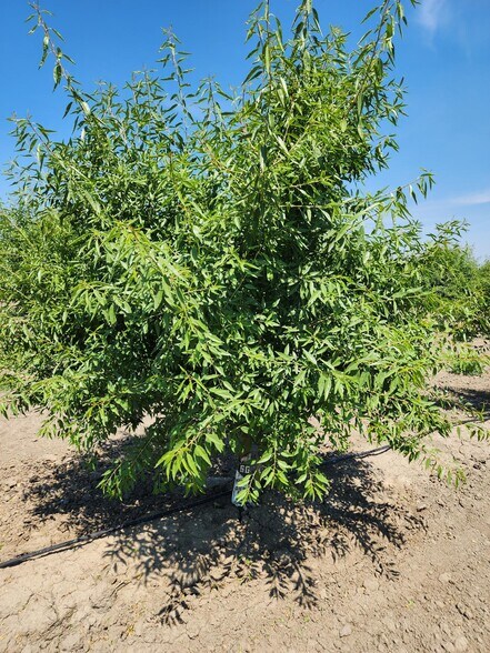 More Photos Of 0 0 Cranmore Rd., Robbins Land For Sale