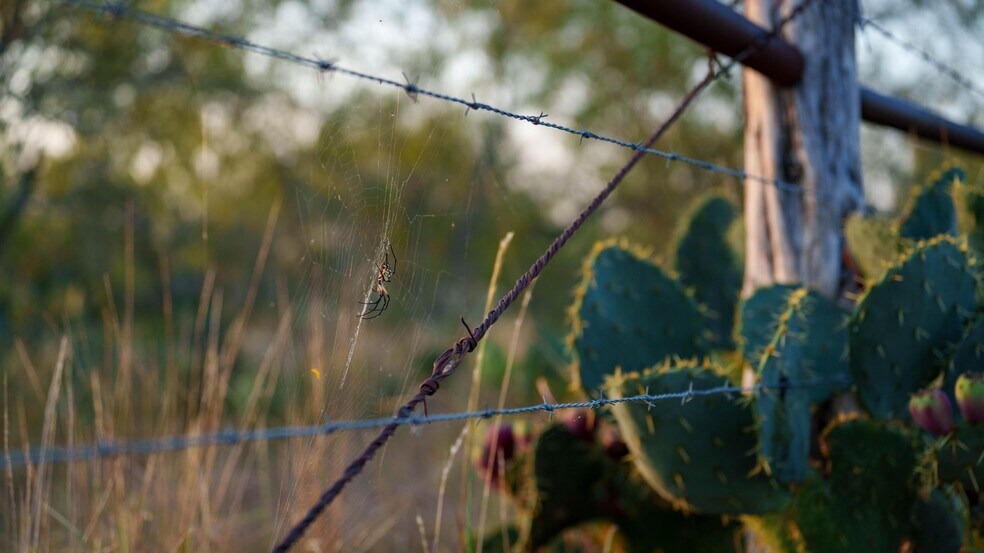 More Photos Of 879 County Road 421, Gonzales Land For Sale