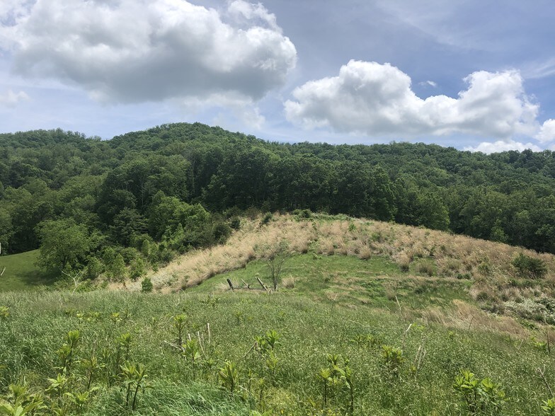 More Photos Of 87 Barnardsville Hwy, Weaverville Land For Sale