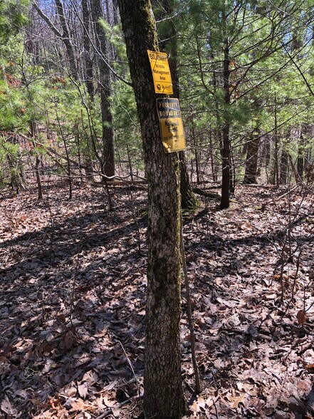 More Photos Of 0 Lost Silver Mine Rd, Cisco Land For Sale