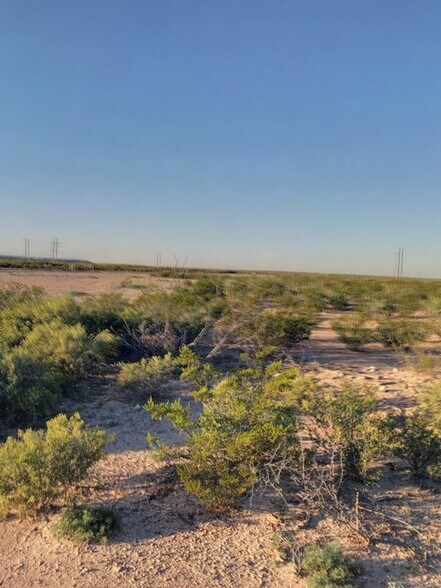 More Photos Of 10 Acres County Road 2545, Coyanosa Land For Sale