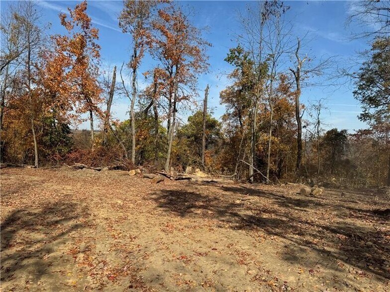 More Photos Of 0 Fallen Timber rd, Avella Land For Sale