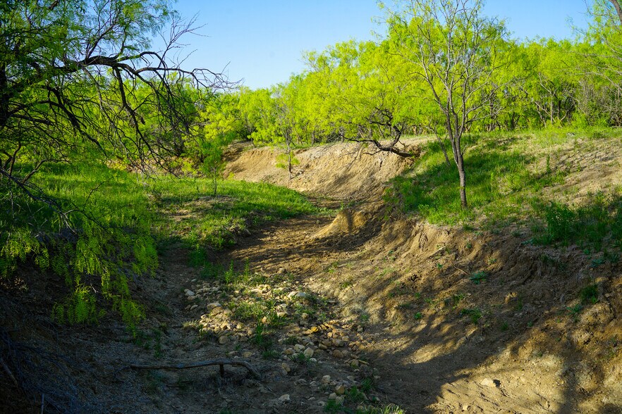 More Photos Of 723 FM 2926, Baird Land For Sale