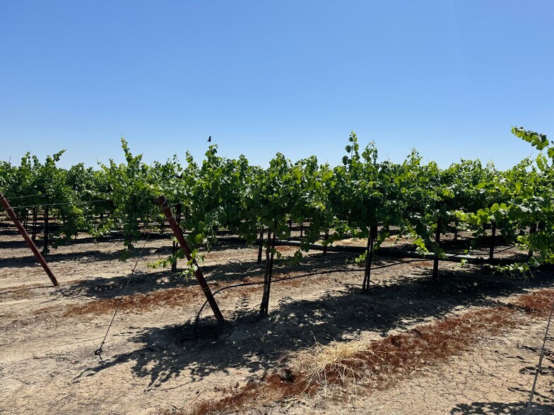 More Photos Of 25203 Road 212, Lindsay Land For Sale