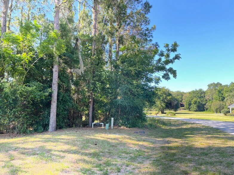 More Photos Of 31004 Secretariat Trl, Leesburg Land For Sale
