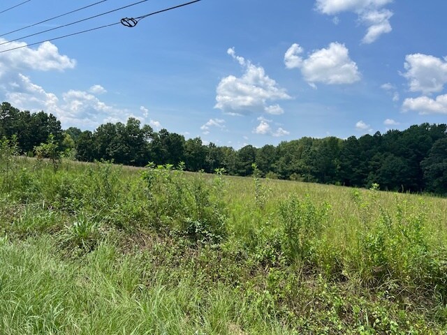 More Photos Of 711 Longtown Rd, Columbia Land For Sale