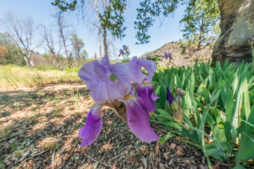 More Photos Of 200 Dutch Creek Rd, Junction City Land For Sale