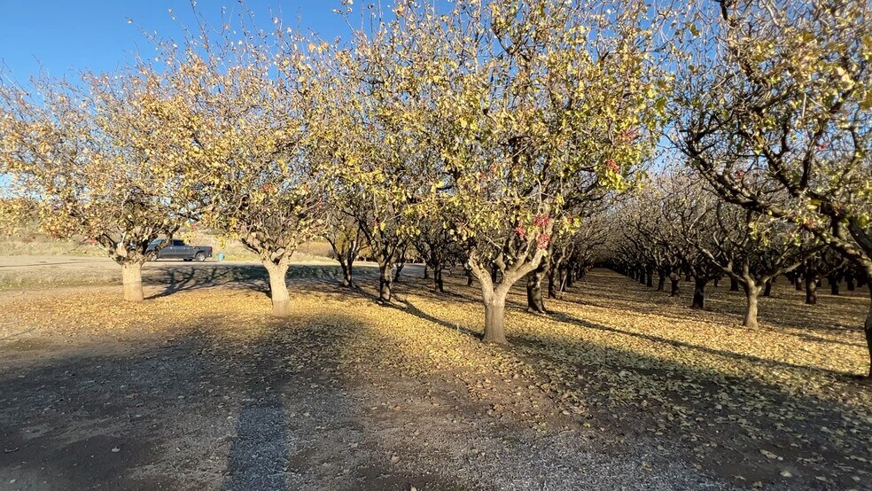 More Photos Of 9121 Pass Rd Rd, Sutter Land For Sale