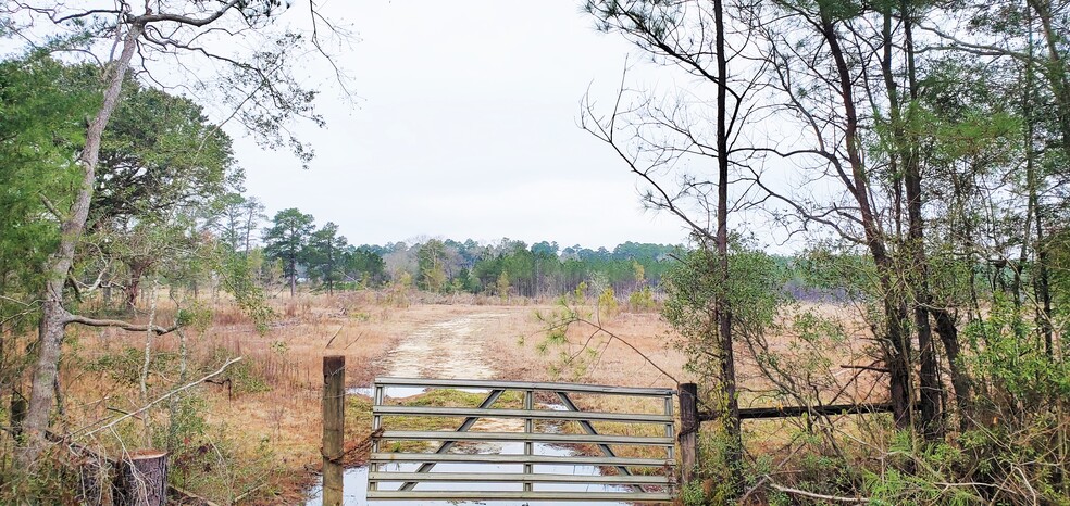 Primary Photo Of Highway 3226 @ Cypress Church Road, Deridder Land For Sale