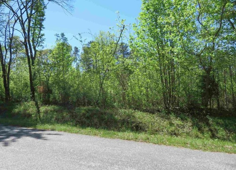 More Photos Of 0 I-26, Little Mountain Land For Sale