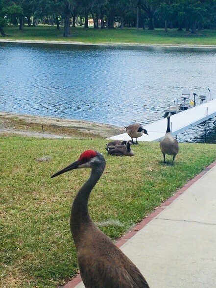 More Photos Of 15400 S US Highway 301, Summerfield Office For Sale