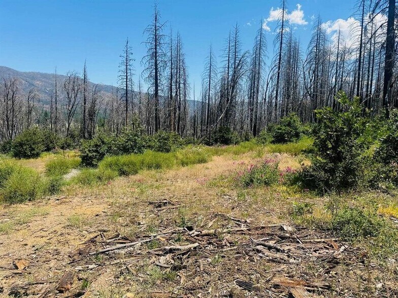 Primary Photo Of 172 Standart Mine Road Rd, Greenville Land For Sale