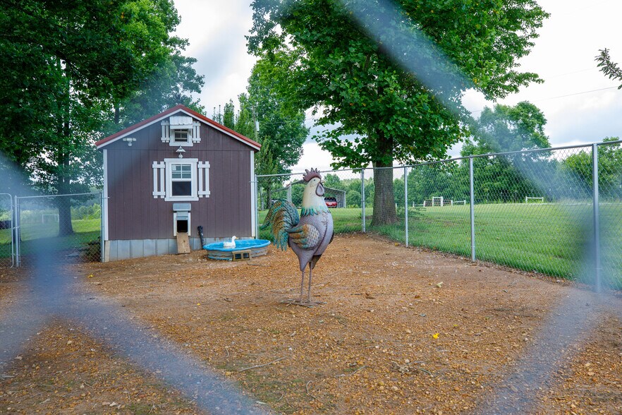 More Photos Of 3262 County Road 6, Hackleburg Land For Sale