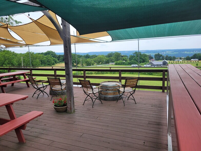 More Photos Of 3675 Tichenor Rd, Hector Winery Vineyard For Sale