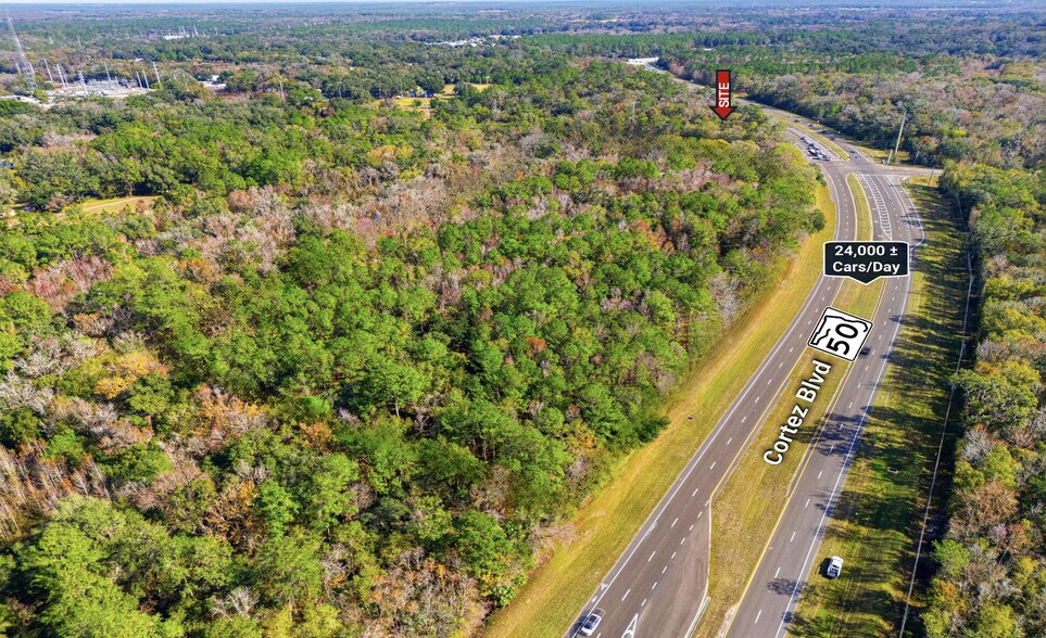 More Photos Of Emerson Rd @ Cortez Blvd, Brooksville Land For Sale