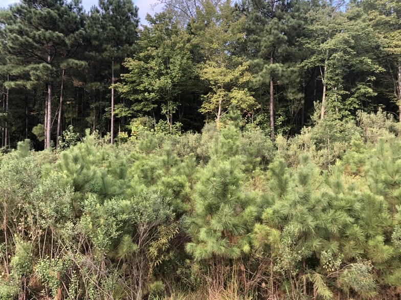 More Photos Of 5809-5921 Old Smithfield Rd Rd, Apex Land For Sale