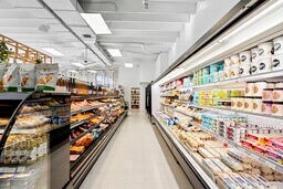 More Photos Of 505-511 Rue Rachel E, Montréal Storefront Retail Office For Sale