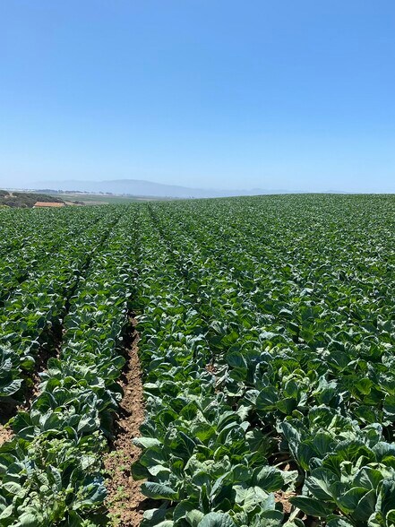 More Photos Of 14910-15740 Blackie Rd, Salinas Land For Sale