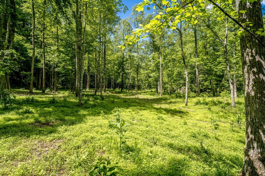 More Photos Of tbd Green Creek Rd, Schuyler Land For Sale